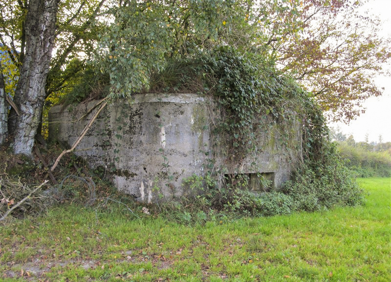Ligne Maginot - BA68 - ROUTE DE FOURCHEMAQUE SUD - (Blockhaus pour canon) - 