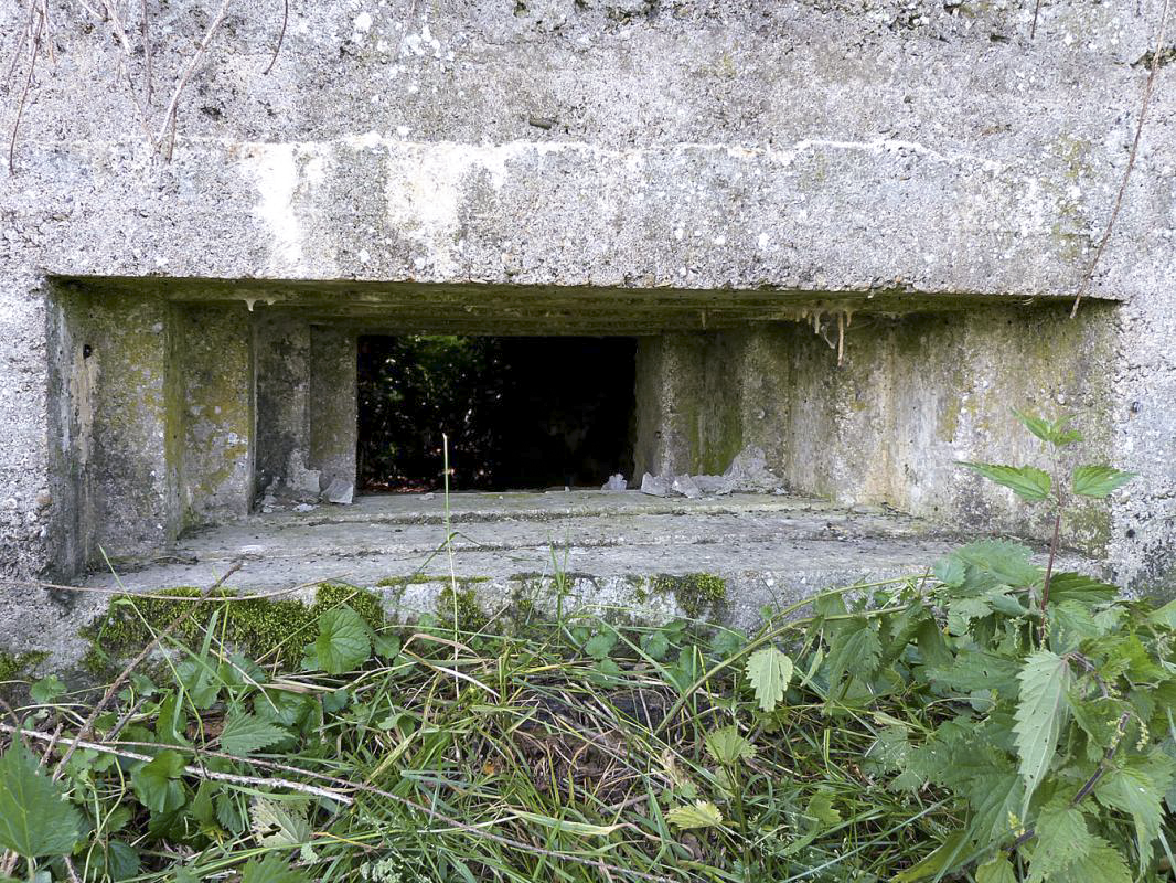 Ligne Maginot - BA68 - ROUTE DE FOURCHEMAQUE SUD - (Blockhaus pour canon) - 