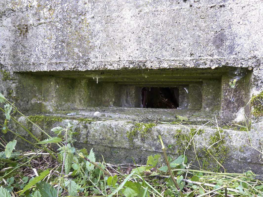 Ligne Maginot - BA68 - ROUTE DE FOURCHEMAQUE SUD - (Blockhaus pour canon) - 