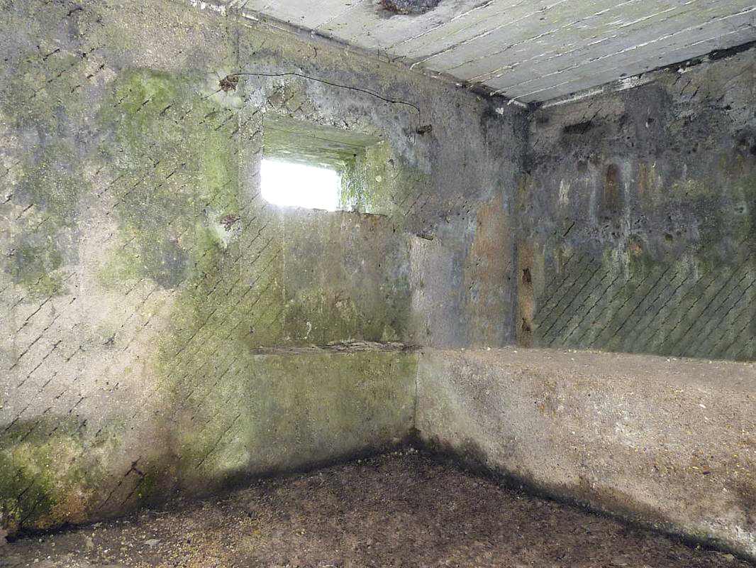 Ligne Maginot - BA68 - ROUTE DE FOURCHEMAQUE SUD - (Blockhaus pour canon) - 