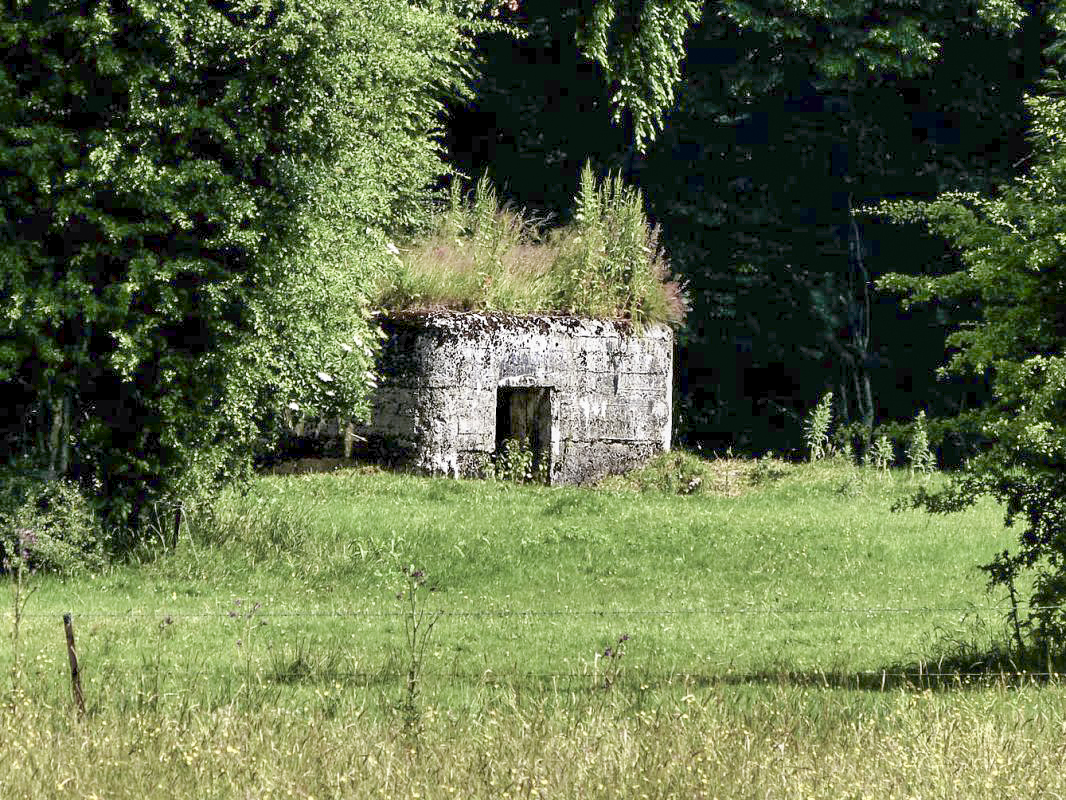 Ligne Maginot - BA69 - LA RENARDIÈRE - (Blockhaus pour canon) - 