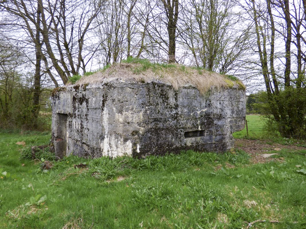 Ligne Maginot - BA69 - LA RENARDIÈRE - (Blockhaus pour canon) - 
