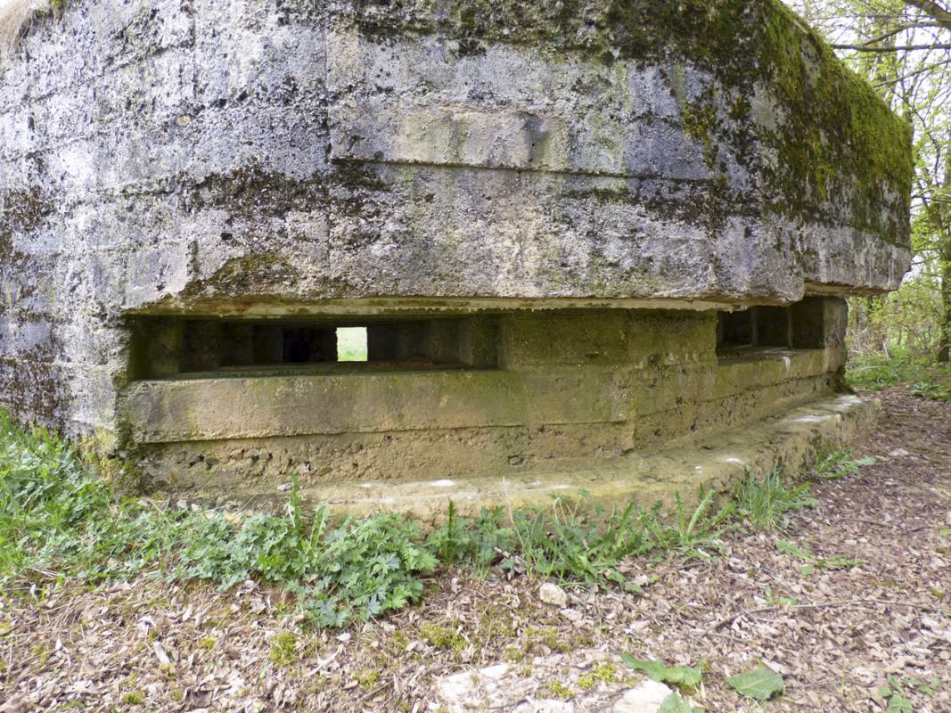 Ligne Maginot - BA69 - LA RENARDIÈRE - (Blockhaus pour canon) - 