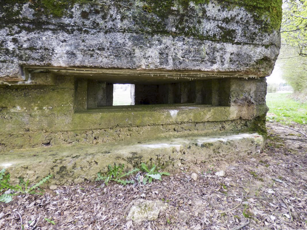 Ligne Maginot - BA69 - LA RENARDIÈRE - (Blockhaus pour canon) - 