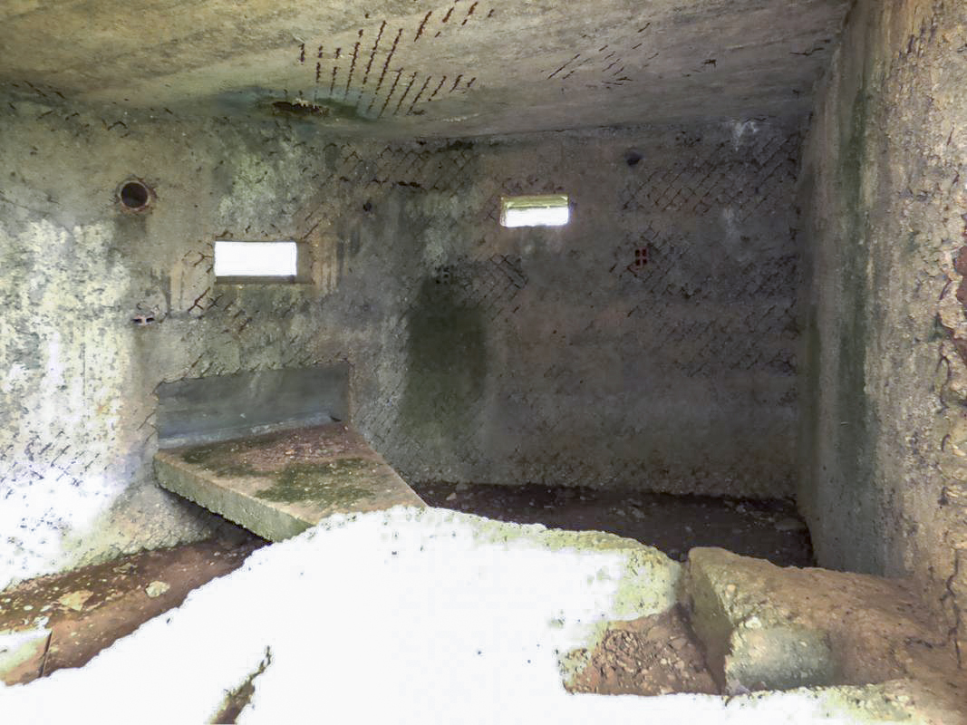 Ligne Maginot - BA69 - LA RENARDIÈRE - (Blockhaus pour canon) - 