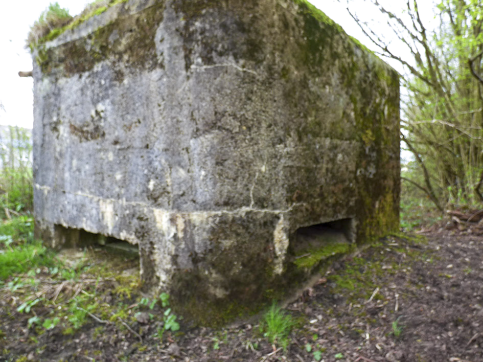 Ligne Maginot - BA70 - PONT DU MAMELOT OUEST - (Blockhaus pour canon) - 