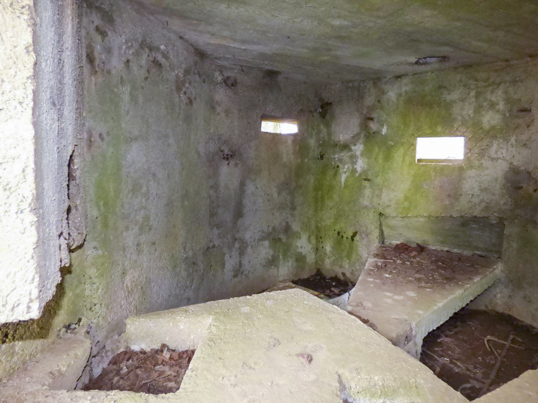 Ligne Maginot - BA70 - PONT DU MAMELOT OUEST - (Blockhaus pour canon) - 