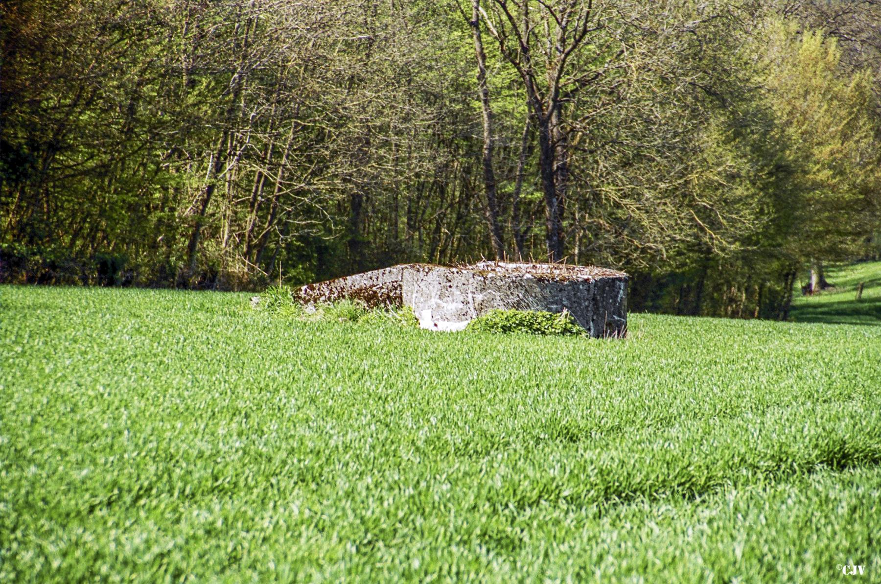Ligne Maginot - T76 - BOIS DES AUVENELLES NORD - (Cuve pour arme d'infanterie) - 