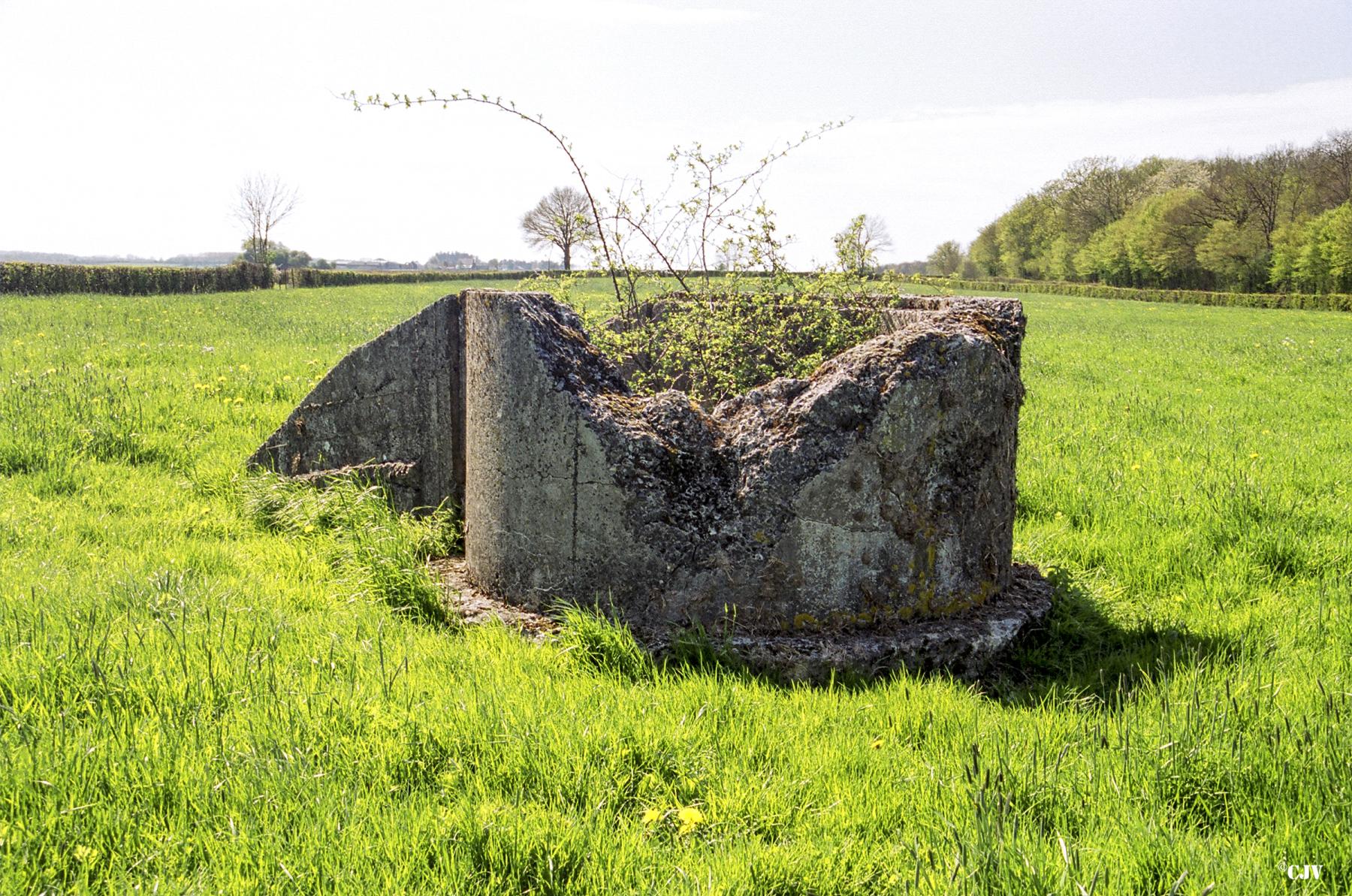 Ligne Maginot - T77 - BOIS DES AUVENELLES SUD - (Cuve pour arme d'infanterie) -  - Caspar Vermeulen