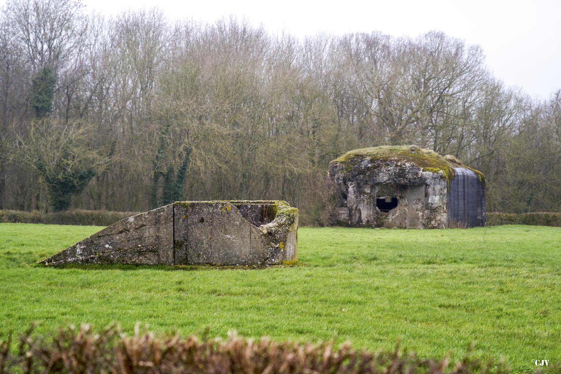 Ligne Maginot - T77 - BOIS DES AUVENELLES SUD - (Cuve pour arme d'infanterie) -  - Lia VERMEULEN