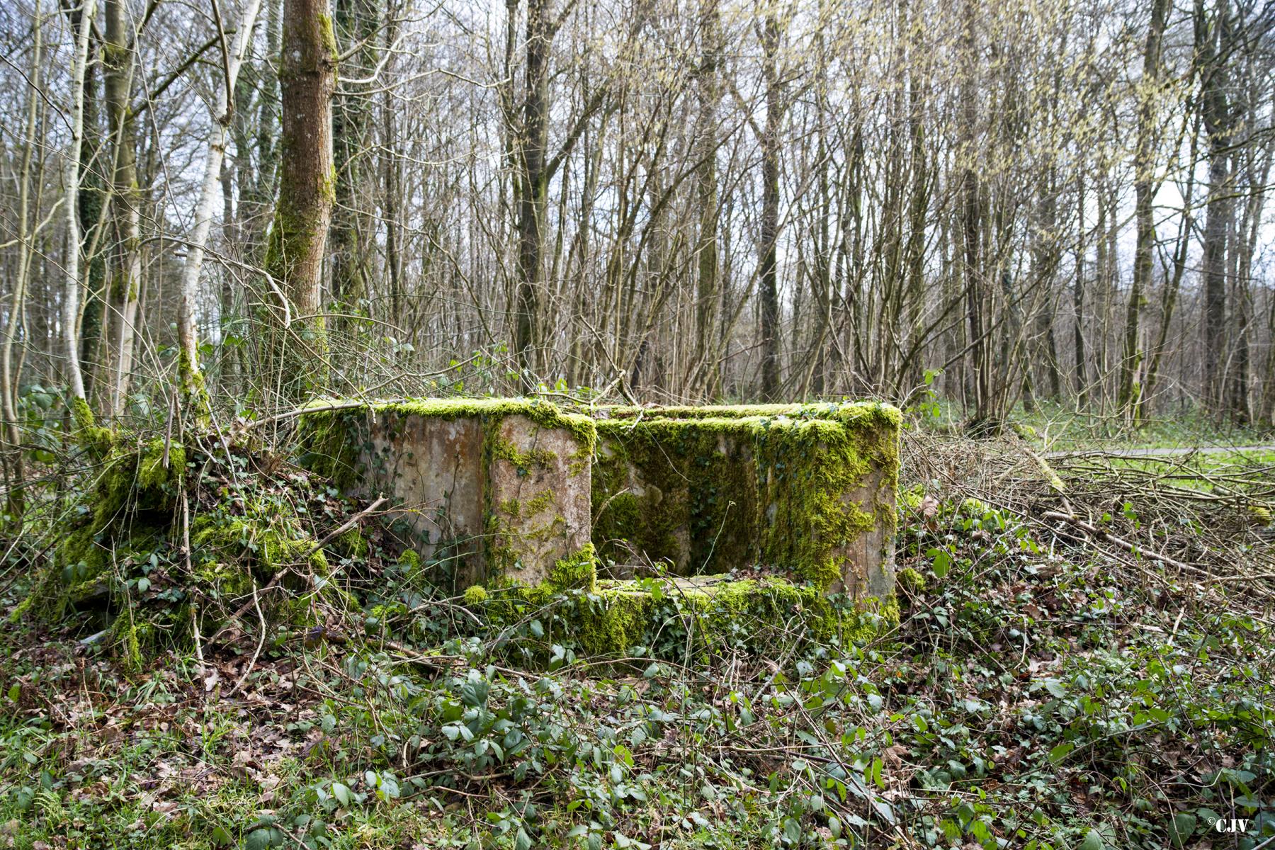 Ligne Maginot - T81 - HUTUTU NORD - (Cuve pour arme d'infanterie) - 