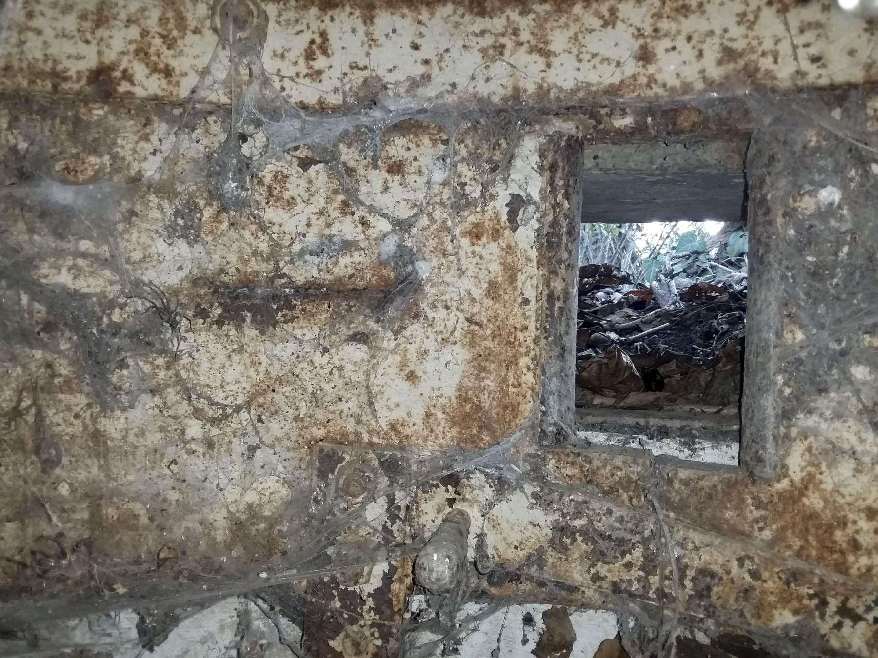Ligne Maginot - B79 - RICHTOLSHEIM 5 - (Blockhaus pour arme infanterie) - 
