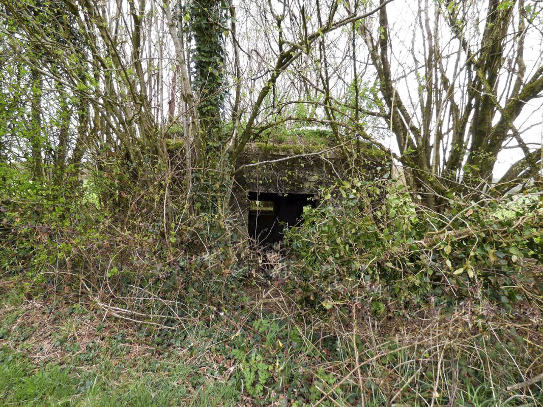 Ligne Maginot - BA71 - LES BERNES - (Blockhaus pour canon) - 