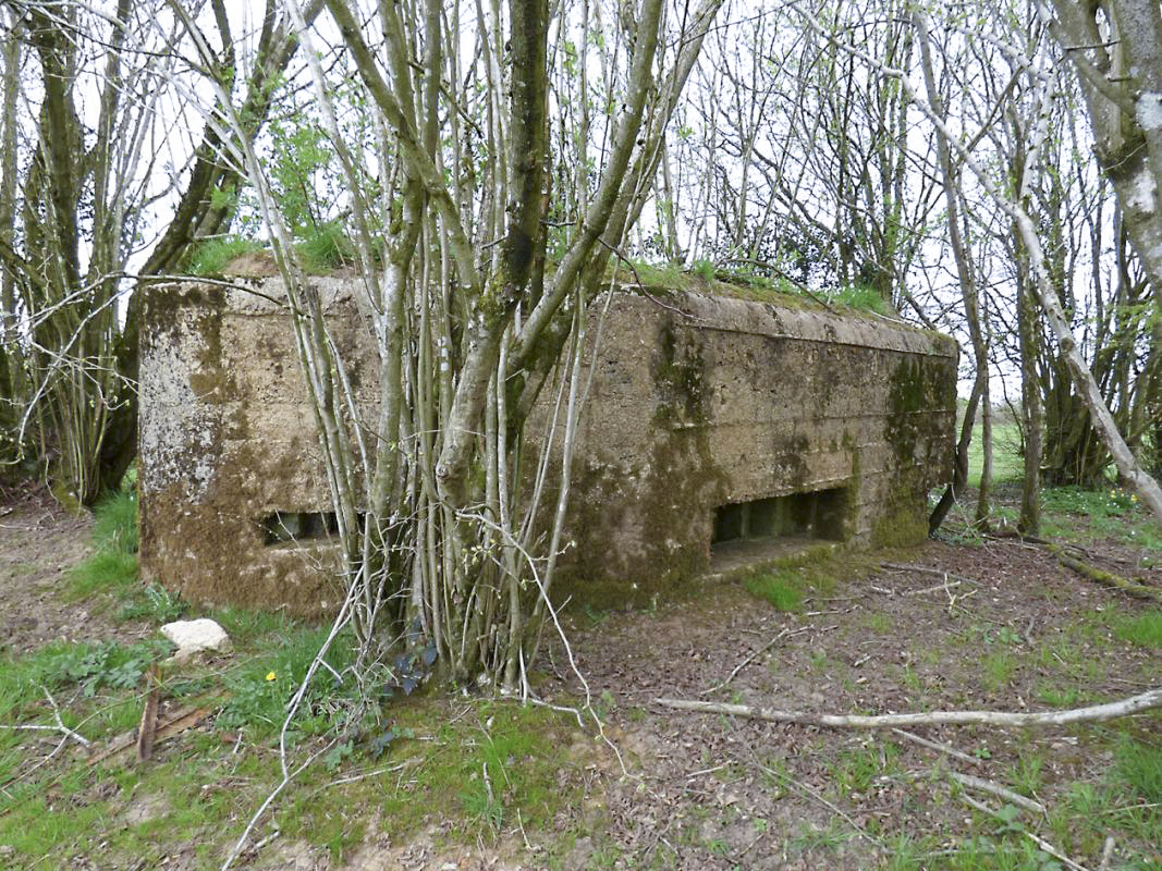 Ligne Maginot - BA71 - LES BERNES - (Blockhaus pour canon) - 