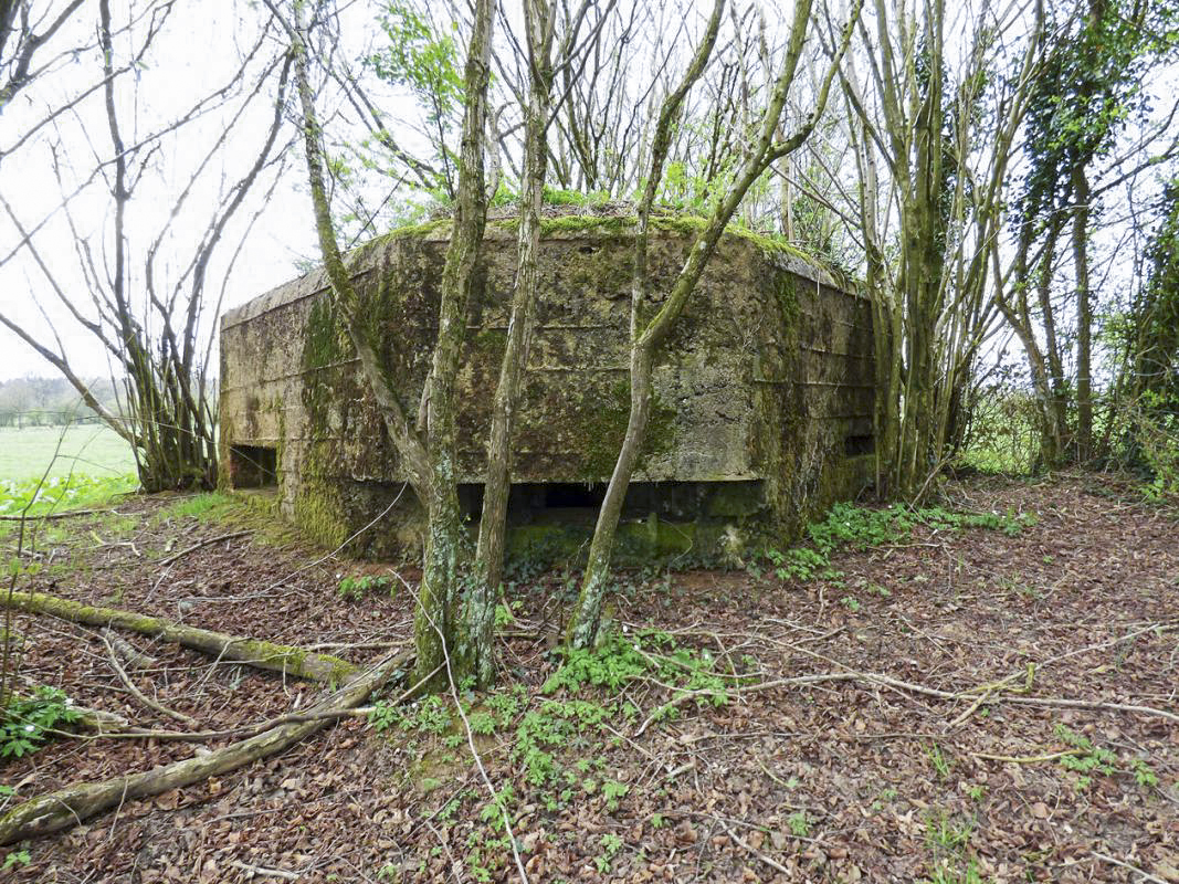 Ligne Maginot - BA71 - LES BERNES - (Blockhaus pour canon) - 
