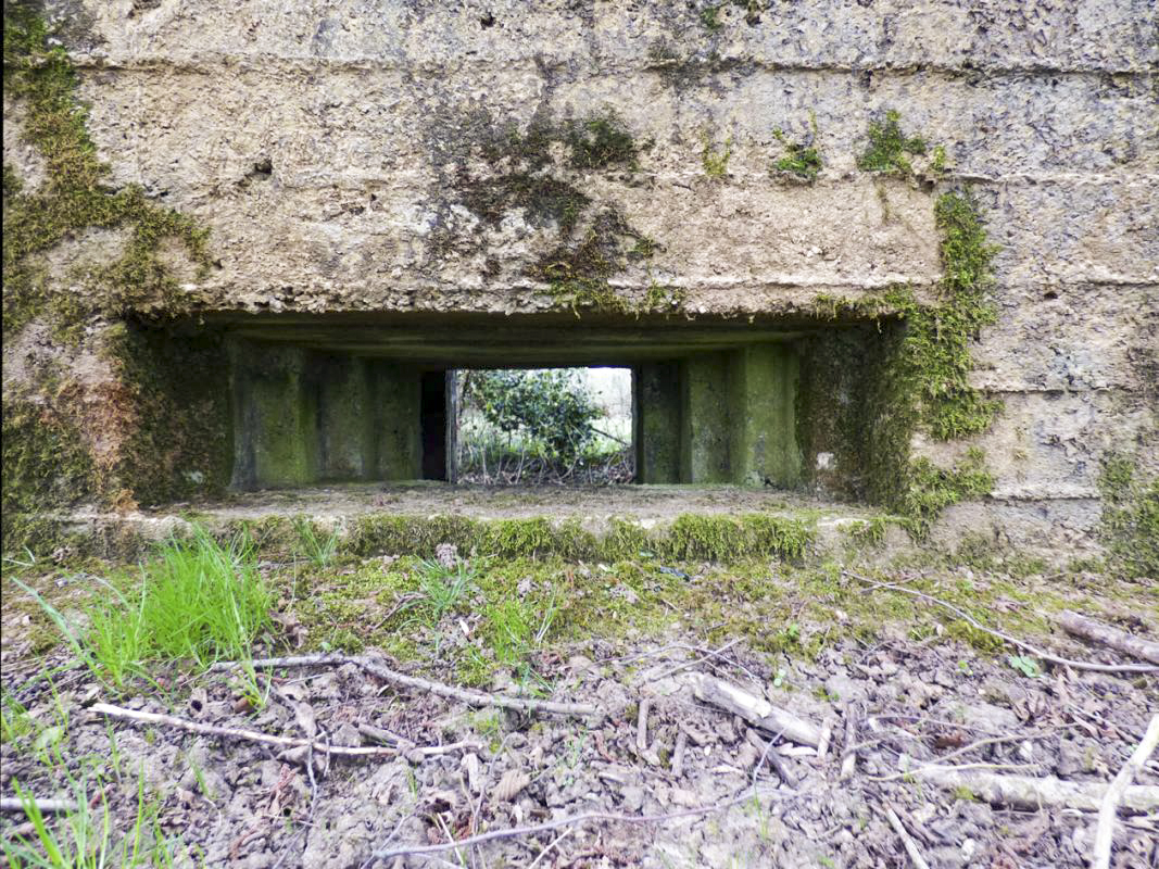 Ligne Maginot - BA71 - LES BERNES - (Blockhaus pour canon) - 