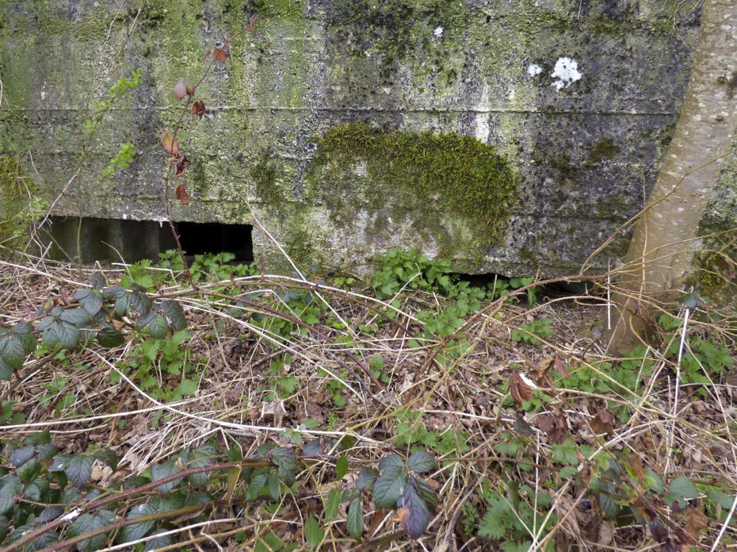 Ligne Maginot - BA75 - TAILLETTE OUEST - (Blockhaus pour canon) - 
