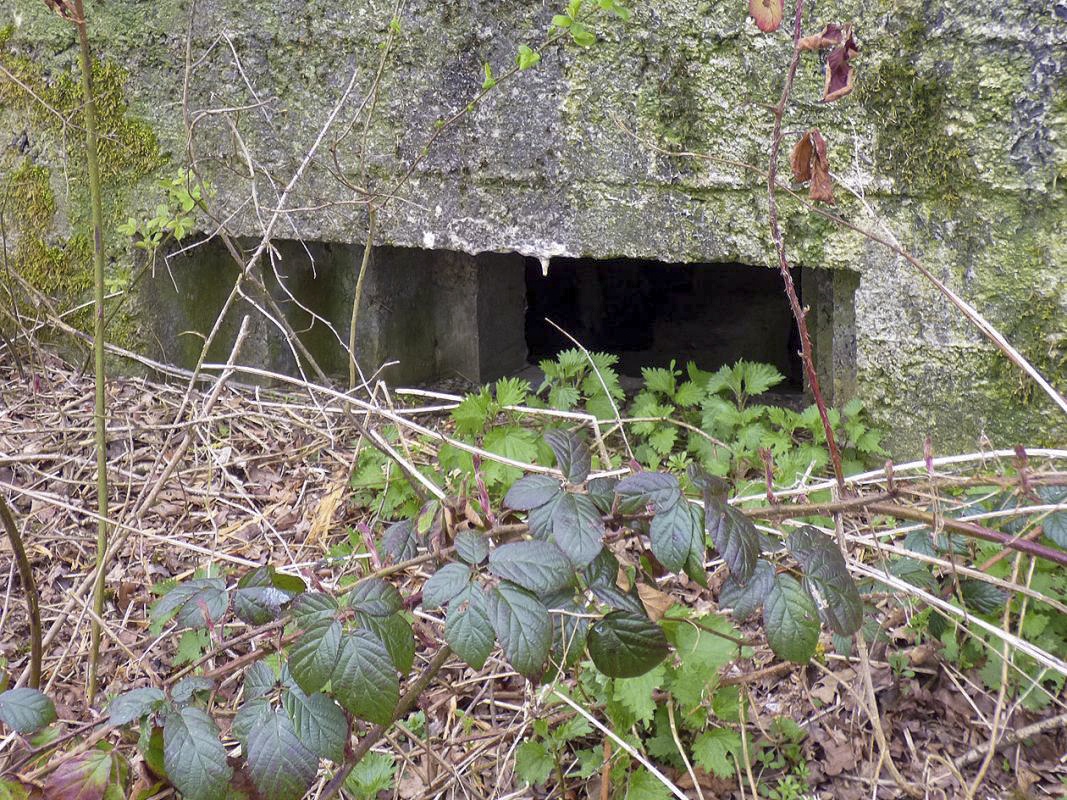Ligne Maginot - BA75 - TAILLETTE OUEST - (Blockhaus pour canon) - 