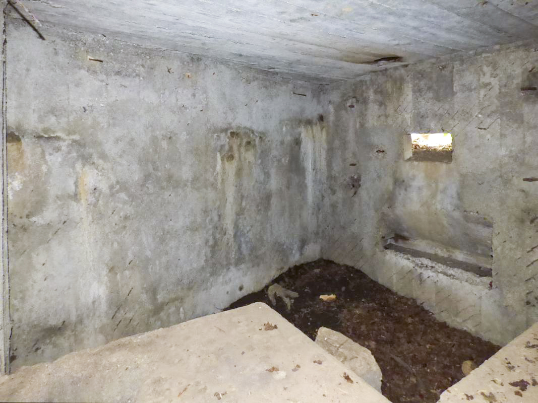 Ligne Maginot - BA75 - TAILLETTE OUEST - (Blockhaus pour canon) - 
