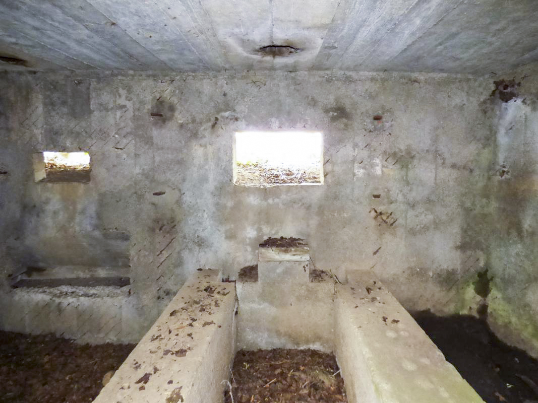 Ligne Maginot - BA75 - TAILLETTE OUEST - (Blockhaus pour canon) - 