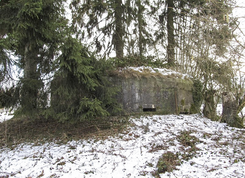 Ligne Maginot - BA72 - PONT DU MAMELOT EST - (Blockhaus pour canon) - 