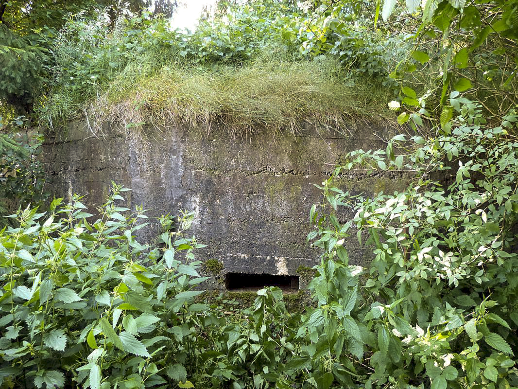 Ligne Maginot - BA72 - PONT DU MAMELOT EST - (Blockhaus pour canon) - 