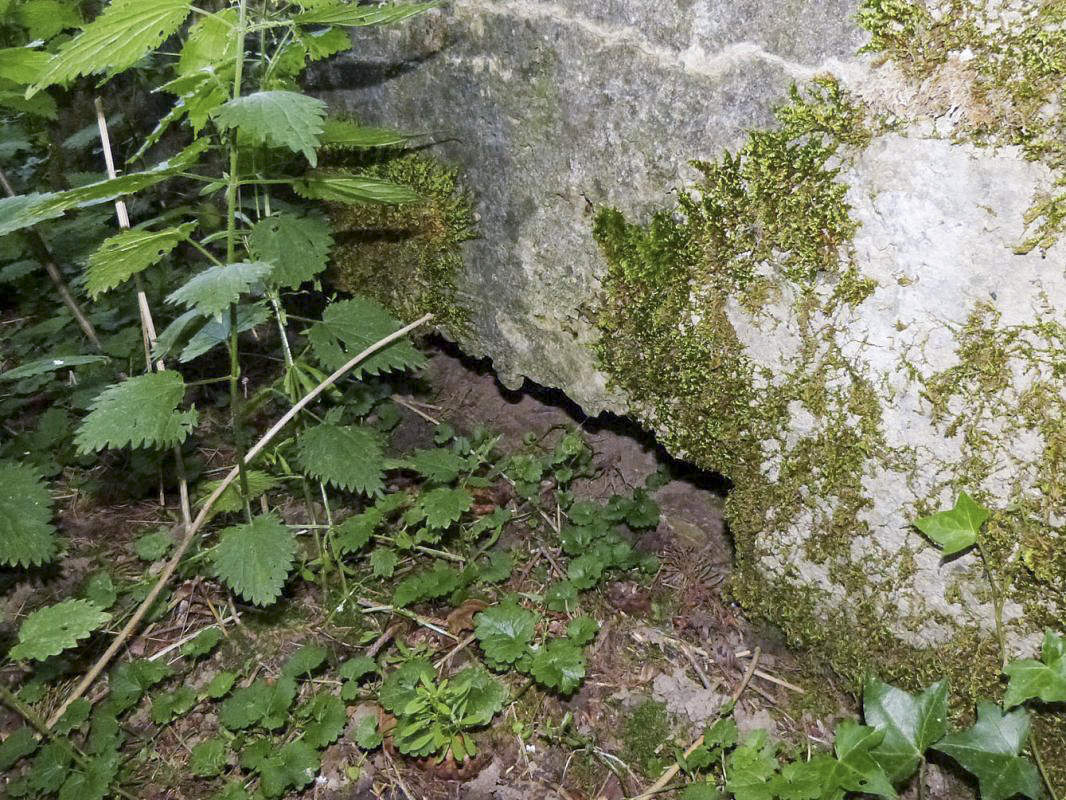 Ligne Maginot - BA72 - PONT DU MAMELOT EST - (Blockhaus pour canon) -  - JMBrams