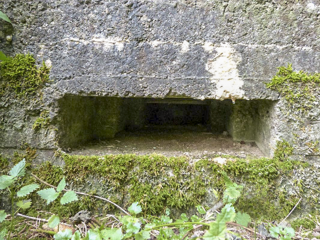 Ligne Maginot - BA72 - PONT DU MAMELOT EST - (Blockhaus pour canon) - 