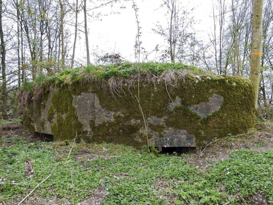 Ligne Maginot - BA76 - TAILLETTE EST - (Blockhaus pour canon) -  - JMBrams