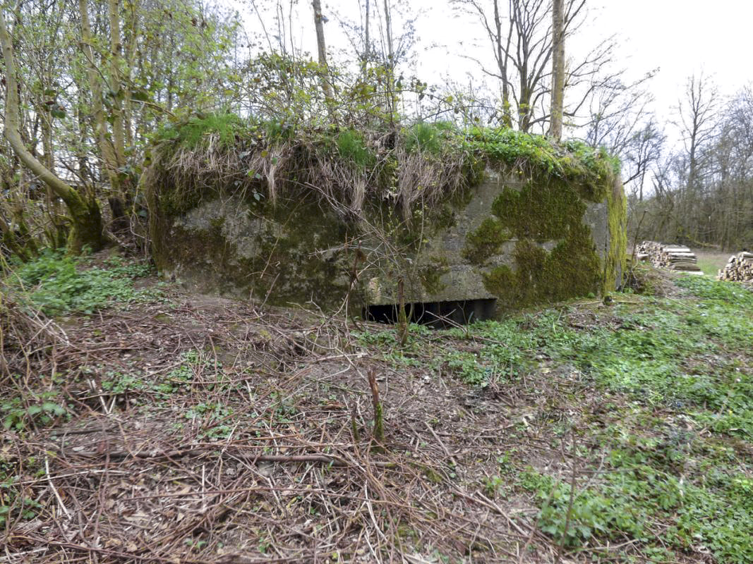 Ligne Maginot - BA76 - TAILLETTE EST - (Blockhaus pour canon) -  - JMBrams