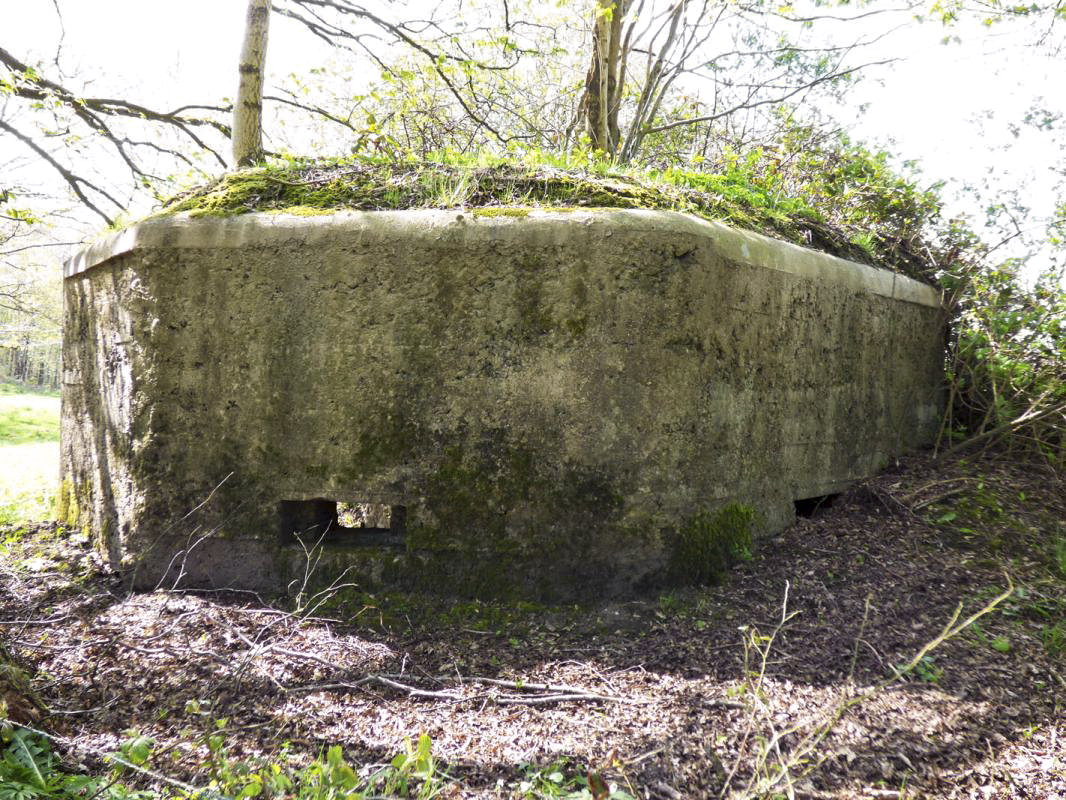 Ligne Maginot - BA78 - LE PAQUIS - (Blockhaus pour canon) -  - JMBrams