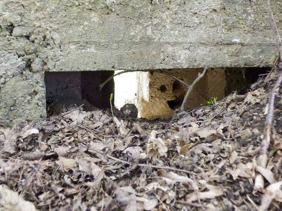 Ligne Maginot - BA78 - LE PAQUIS - (Blockhaus pour canon) -  - JMBrams