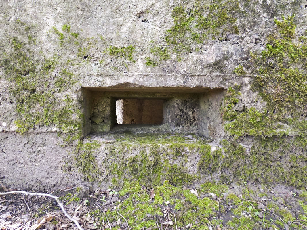 Ligne Maginot - BA78 - LE PAQUIS - (Blockhaus pour canon) -  - JMBrams