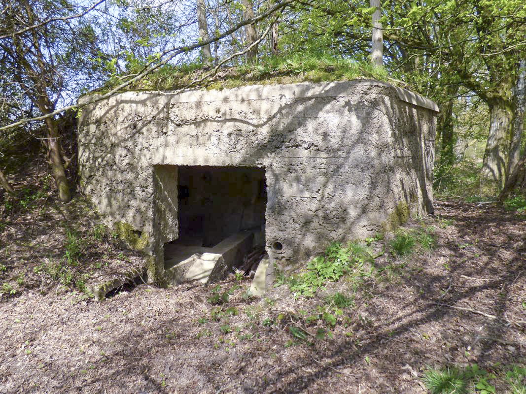 Ligne Maginot - BA78 - LE PAQUIS - (Blockhaus pour canon) -  - JMBrams