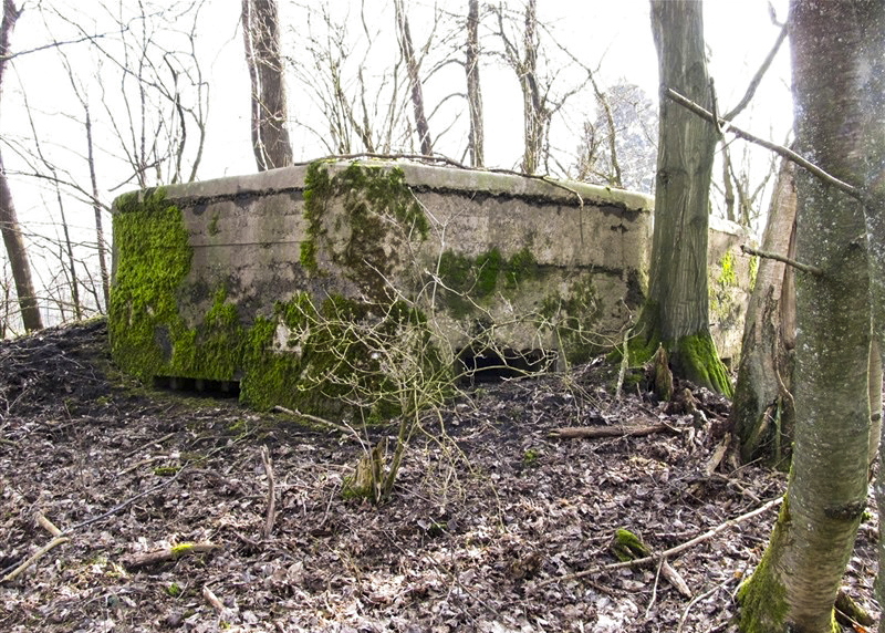 Ligne Maginot - BA79 - CROIX PESSET - (Blockhaus pour canon) - 