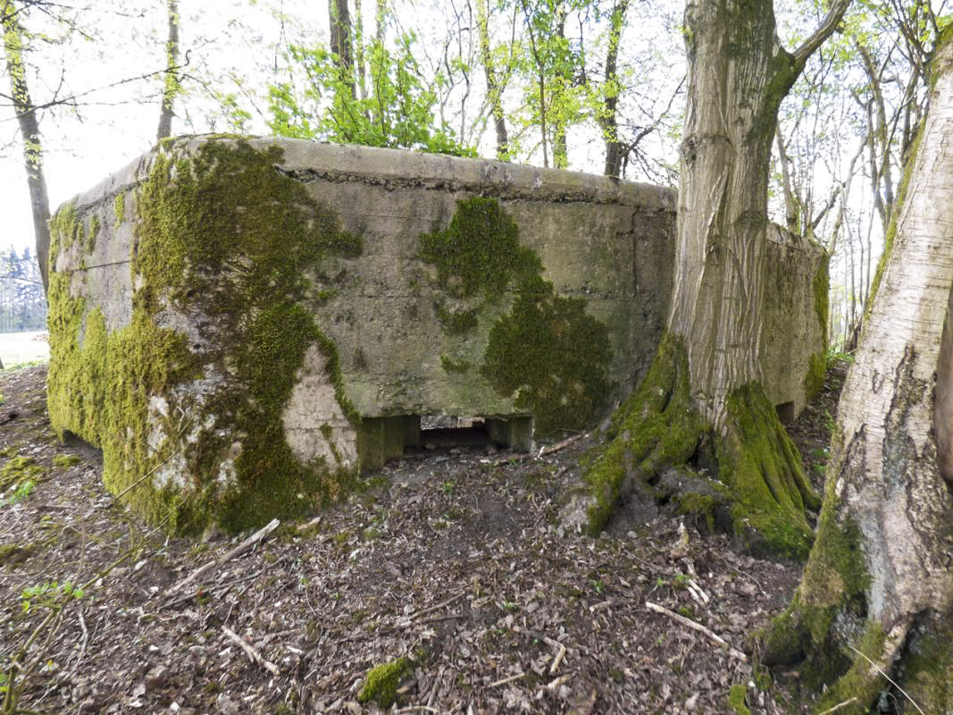 Ligne Maginot - BA79 - CROIX PESSET - (Blockhaus pour canon) -  - JMBrams