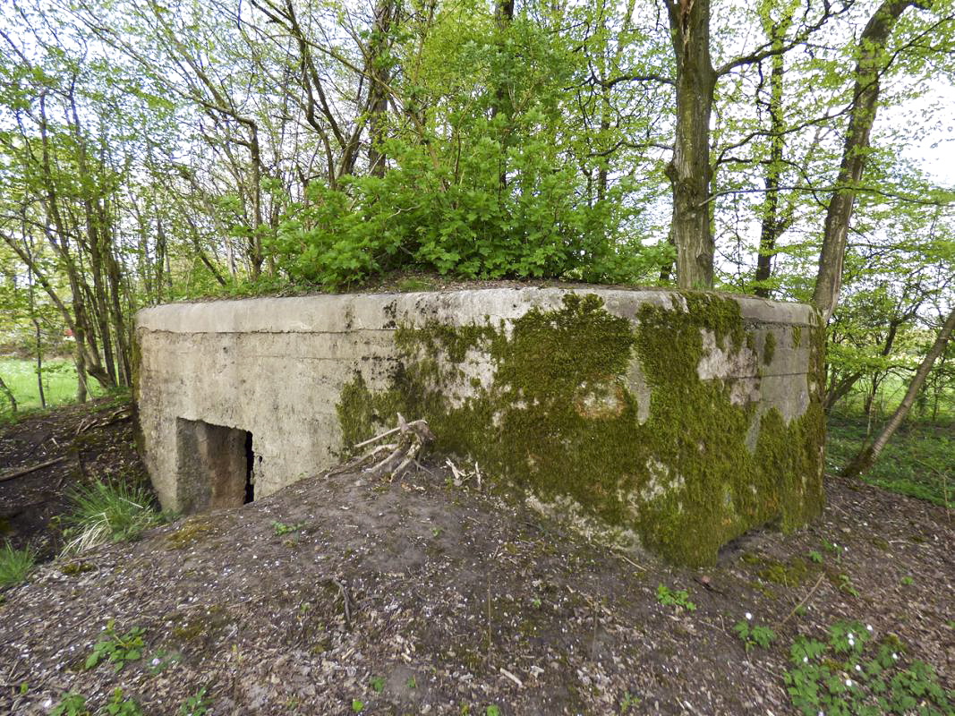 Ligne Maginot - BA79 - CROIX PESSET - (Blockhaus pour canon) - 