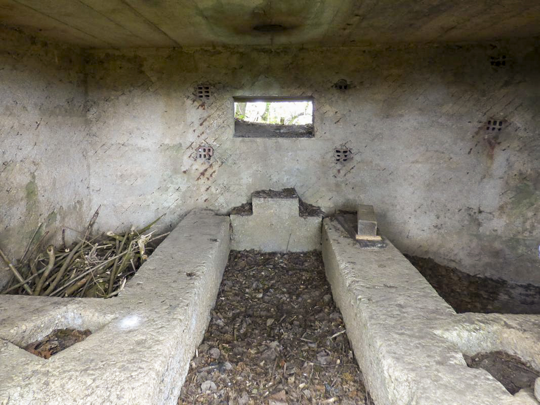 Ligne Maginot - BA79 - CROIX PESSET - (Blockhaus pour canon) - 