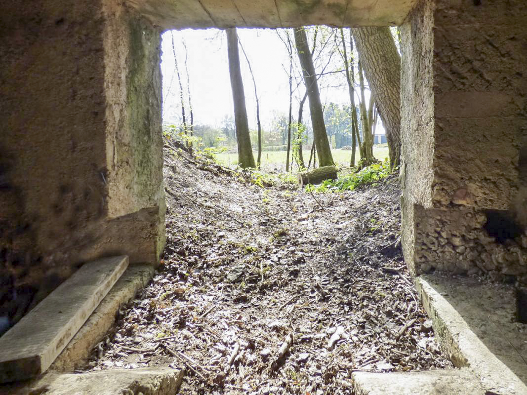 Ligne Maginot - BA79 - CROIX PESSET - (Blockhaus pour canon) - 