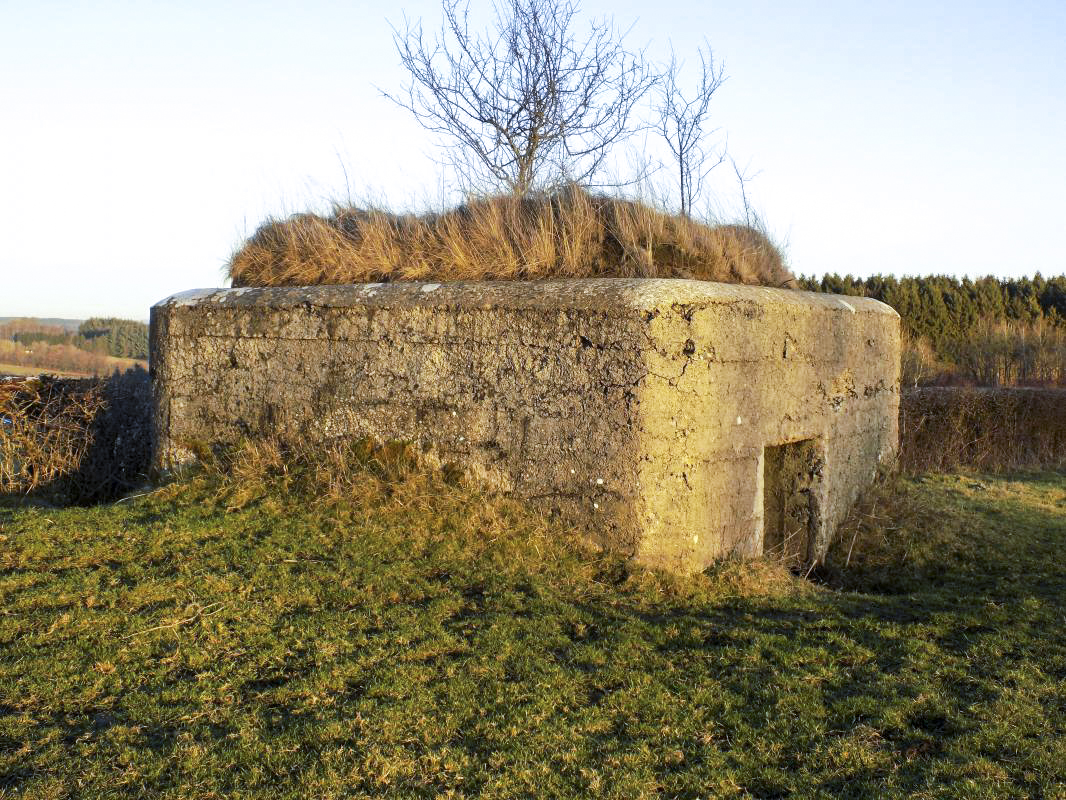 Ligne Maginot - BA87 - LA PETITE RIEZE - (Blockhaus pour canon) - Faces gauche et l'arrière