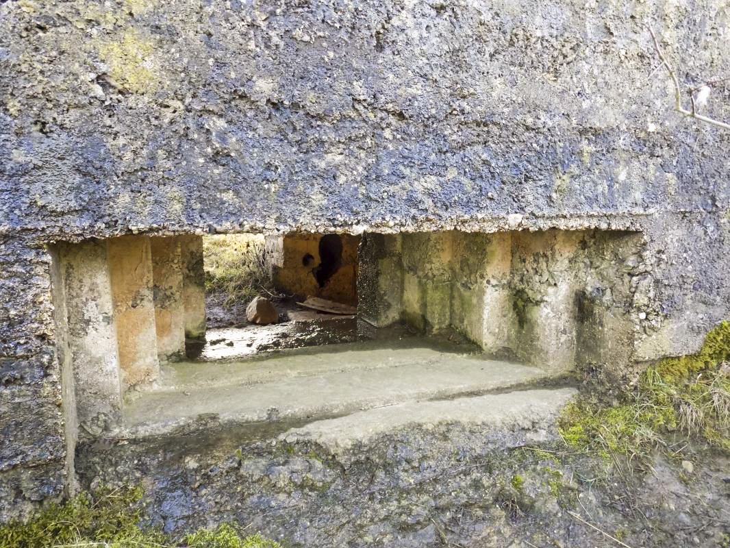 Ligne Maginot - BA87 - LA PETITE RIEZE - (Blockhaus pour canon) - Créneau Hotchkiss