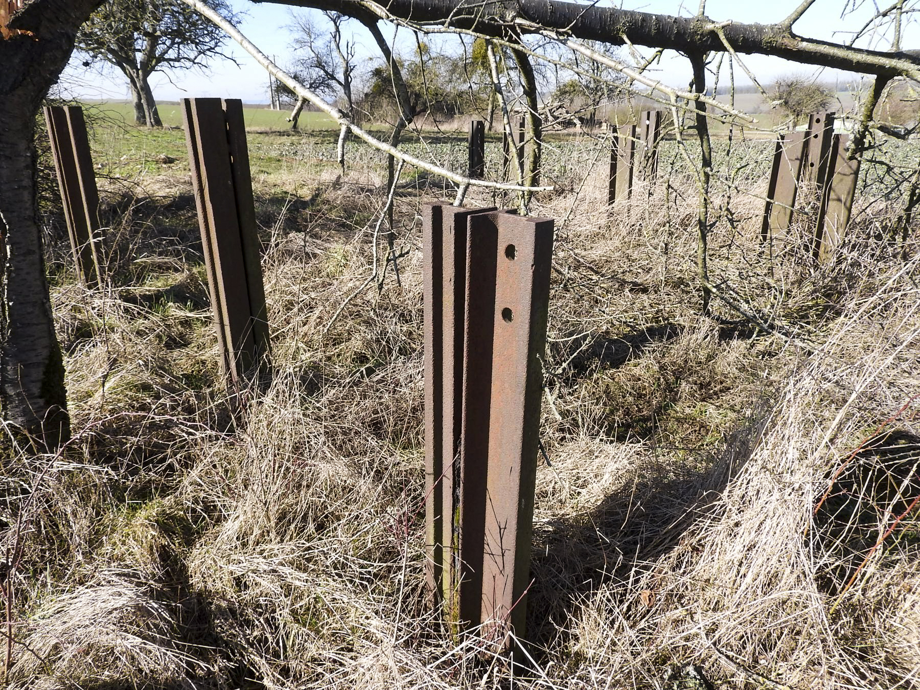 Ligne Maginot - LES CHATS 1 - FT - (Blockhaus pour arme infanterie) - Le réseau anti-char à proximité du point d'appui, en direction de la chambre de coupure voisine