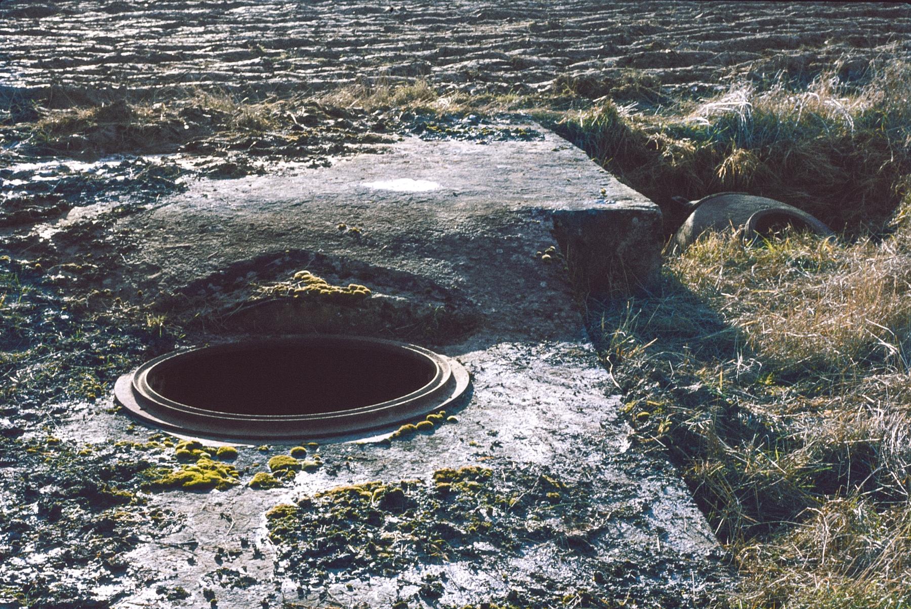 Ligne Maginot - LES CHATS 1 - FT - (Blockhaus pour arme infanterie) - L'emplacement - MANSUY Michel