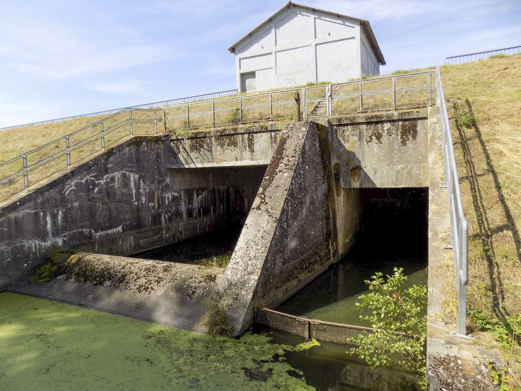 Ligne Maginot - HIRBACH - STANGENWALD (RETENUE DE) - (Inondation défensive) - Vue du déversoir - luc .j