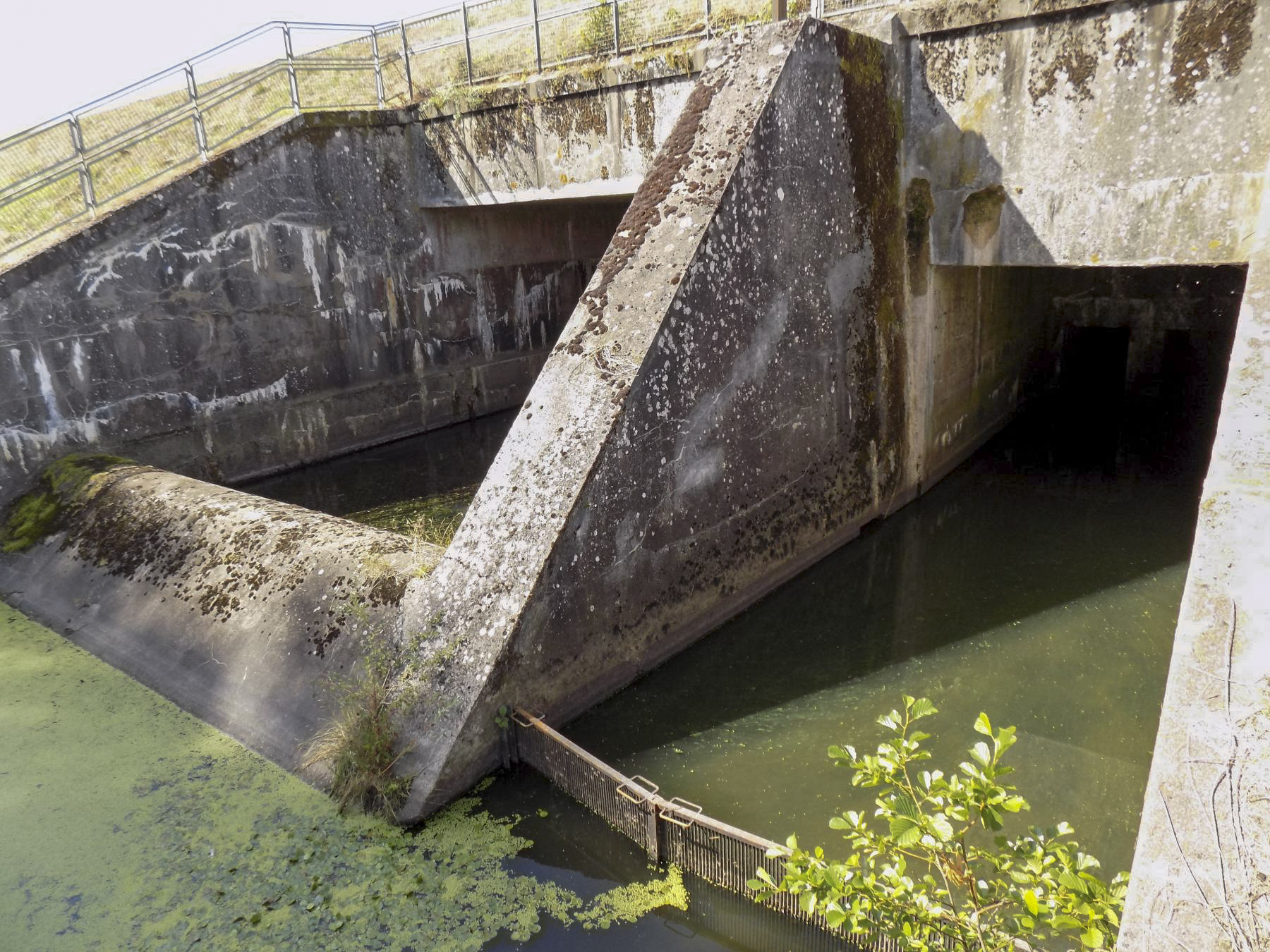 Ligne Maginot - HIRBACH - STANGENWALD (RETENUE DE) - (Inondation défensive) - Vue du déversoir - luc .j
