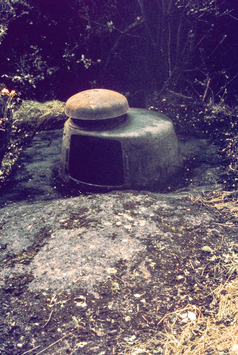Ligne Maginot - NONNENWALD 1 (Blockhaus pour arme infanterie) -  - Michel Mansuy