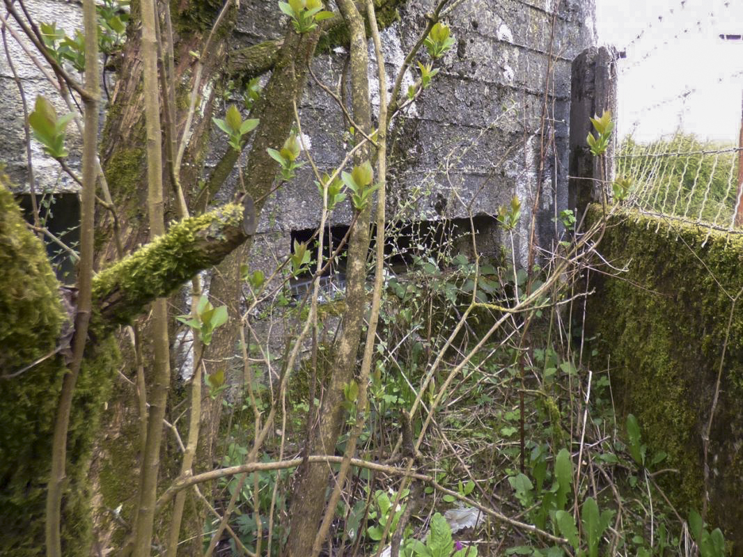 Ligne Maginot - BA82BIS - ROCROI SUD - (Blockhaus pour canon) - 