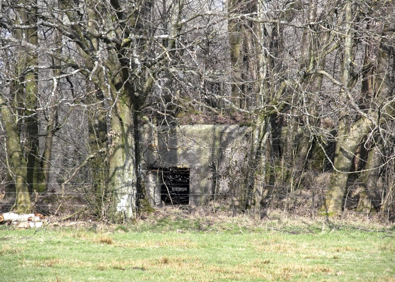 Ligne Maginot - BA85 - CENSE BLANZY - (Blockhaus pour canon) - 