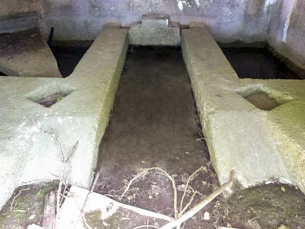 Ligne Maginot - BA85 - CENSE BLANZY - (Blockhaus pour canon) - 