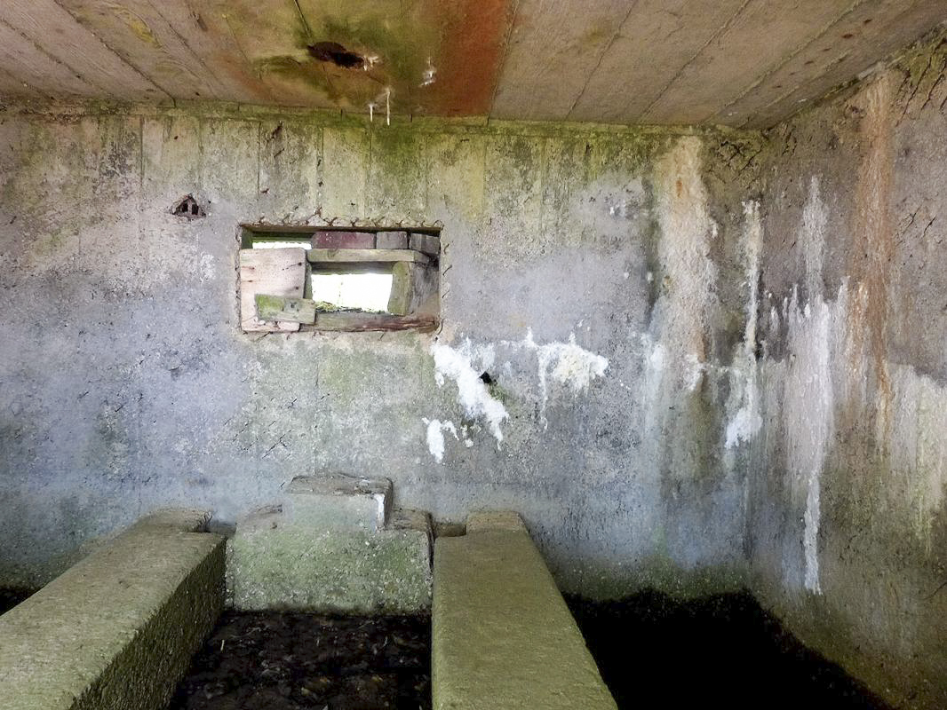 Ligne Maginot - BA85 - CENSE BLANZY - (Blockhaus pour canon) - 